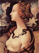 Piero di Cosimo Portrat of Simonetta Vespucci oil painting artist